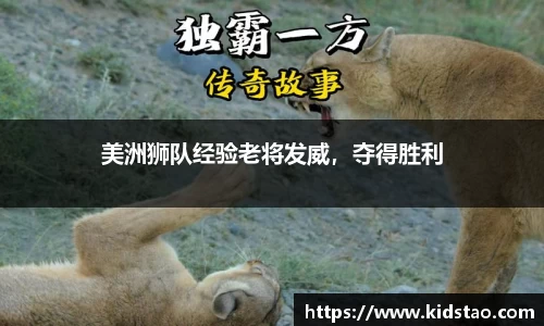 乐动LDSports体育
