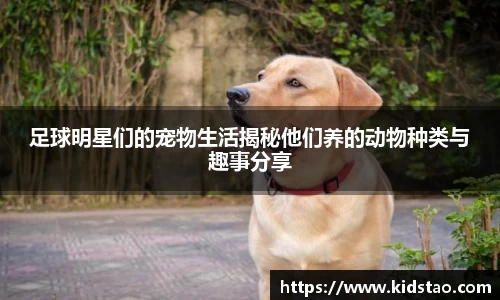 乐动LDSports体育